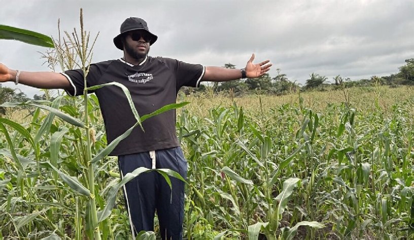Cultivated farmland