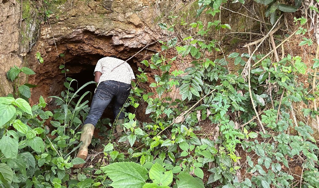 Gold concessions, Bekwai and 15 other areas
